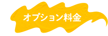 オプション料金